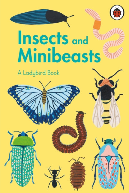 Insects & Minibeasts