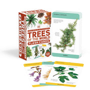 Our World In Pictures Trees Flash Cards