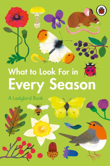 What To Look For In Every Season Boxset