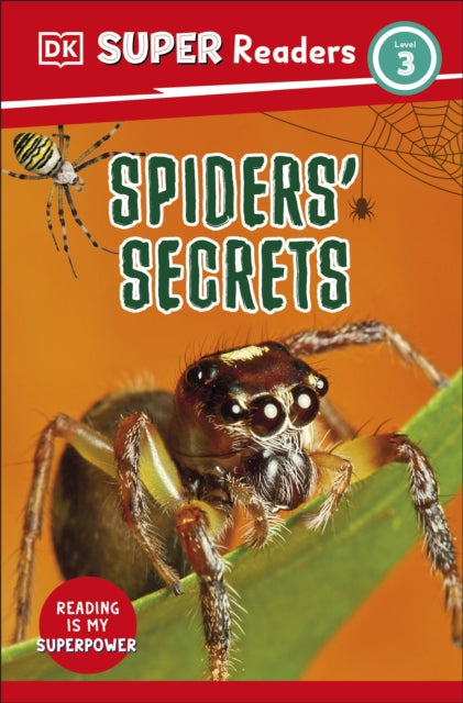 Spiders Secrets Level 3