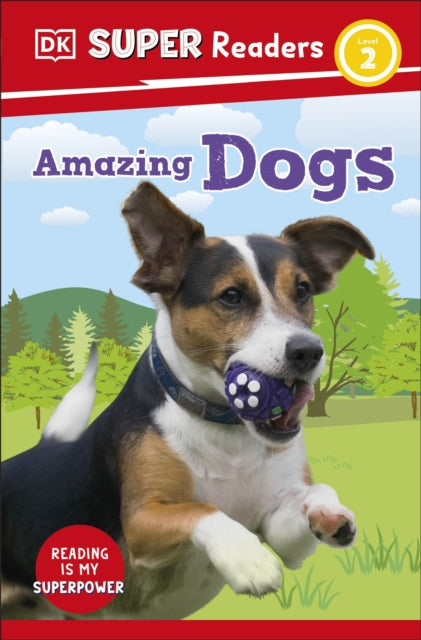 Amazing Dogs Level 2