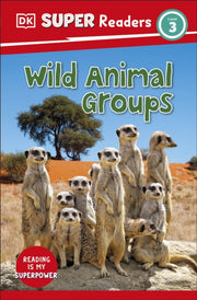 Wild Animal Groups Level 3
