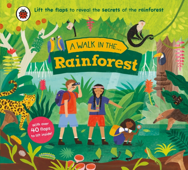 Walk In The Rainforest