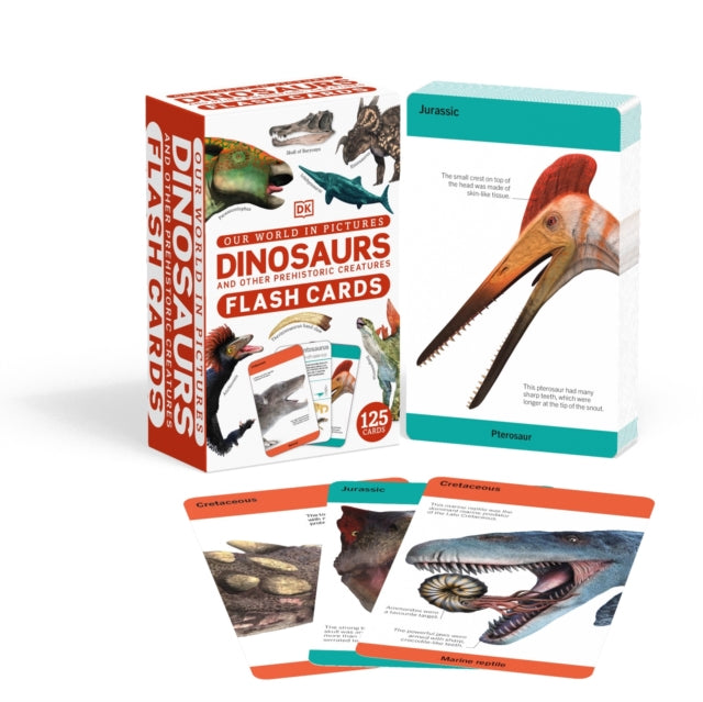 Dinosaurs & Others Creatures Flash Card