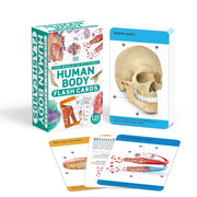 Human Body Flash Cards