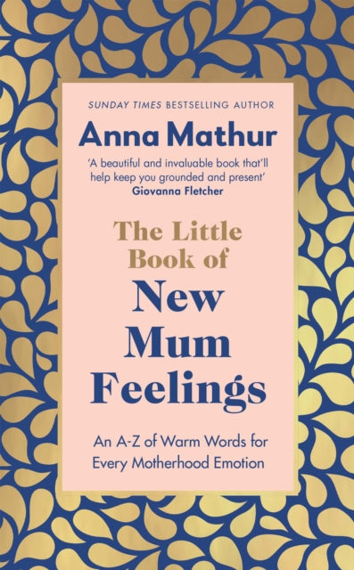 Little Book Of New Mum Feelings By Mathur  Anna