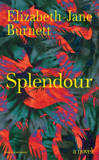 Splendour By Burnett, Elizabeth-j