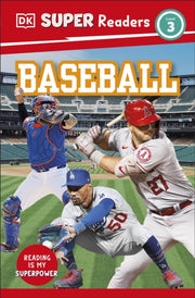 Baseball Level 3