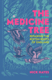 Medicine Tree By Hayes, Nick