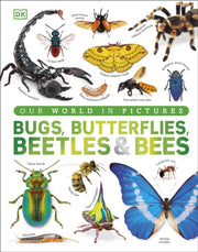 Our World/bugs Butterflies Beetles Bees