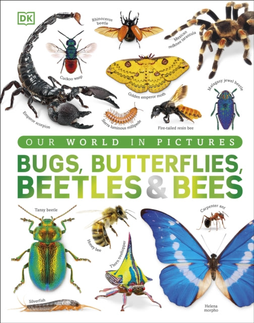Our World/bugs Butterflies Beetles Bees