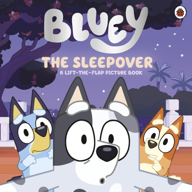 Bluey The Sleepover