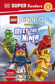 Lego Ninjago Dragons Rising Meet/ninja