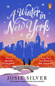 Winter In New York