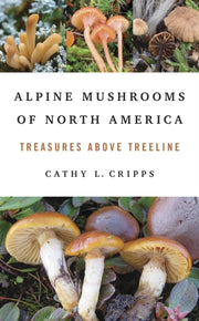 Alpine Mushrooms Of North America By Cripps, Cathy