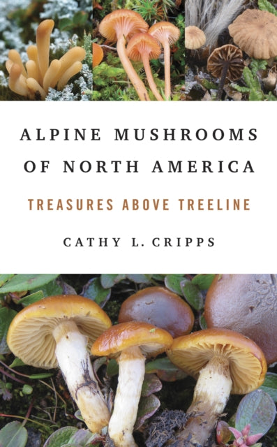 Alpine Mushrooms Of North America