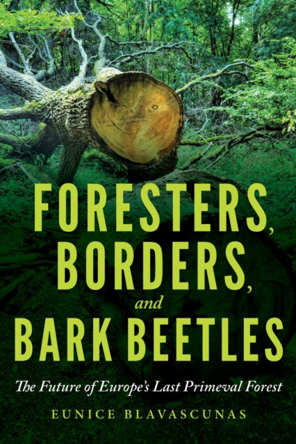 Foresters Borders & Bark Beetles