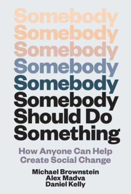 Somebody Should Do Something By Brownstein, Michael