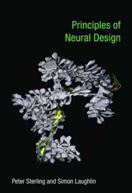 Principles Of Neural Design