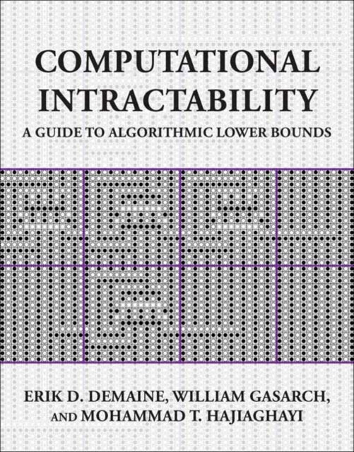 Computational Intractability By Demaine, Erik D.