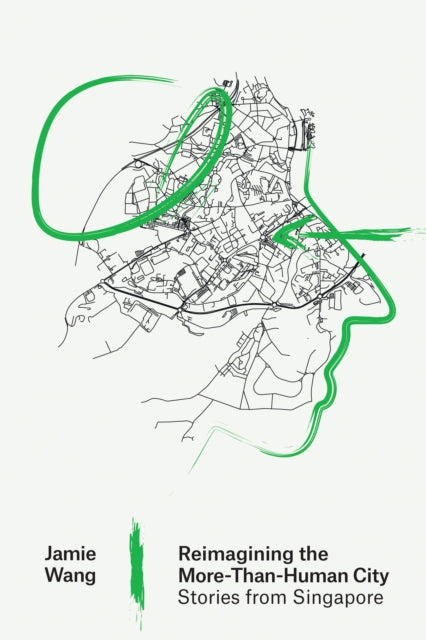 Reimagining The Morethanhuman City