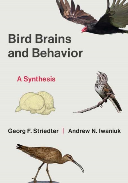 Bird Brains & Behavior