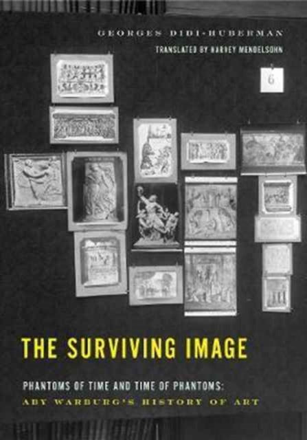 Surviving Image The
