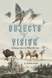 Objects Of Vision Making Sense Of What