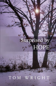 Surprised By Hope