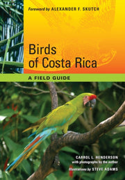 Birds Of Costa Rica By Henderson,carrol L.