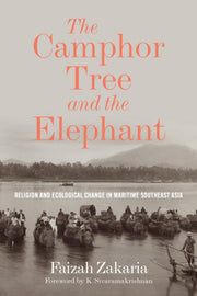 Camphor Tree & The Elephant