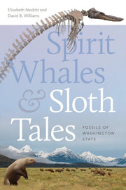 Spirit Whales & Sloth Tales