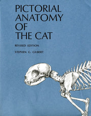 Pictorial Anatomy Of The Cat By Gilbert, Stephen G