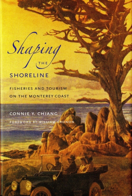 Shaping The Shoreline