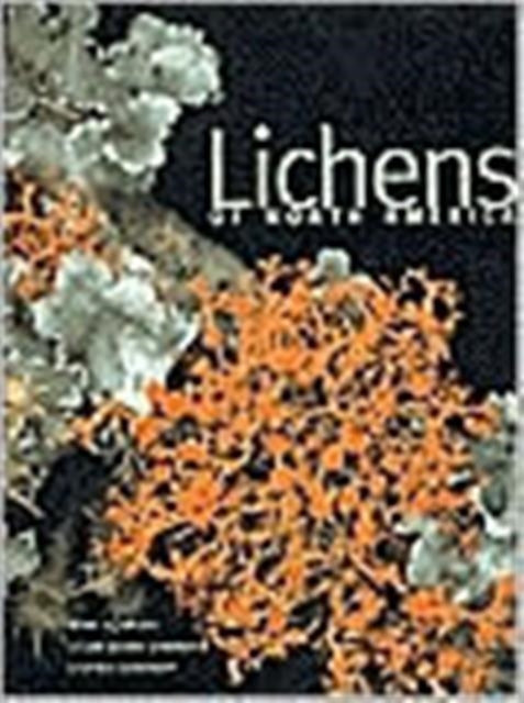 Lichens Of North America
