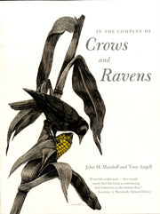 In The Company Of Crows And Ravens By Marzluff, John M.