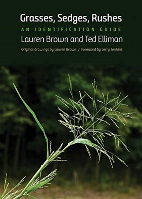 Grasses Sedges Rushes