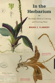 In The Herbarium
