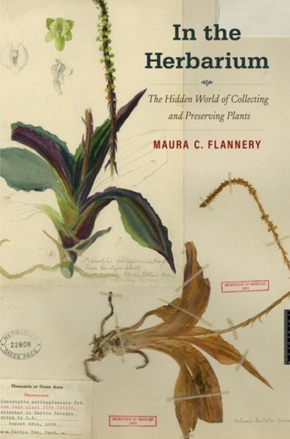 In The Herbarium