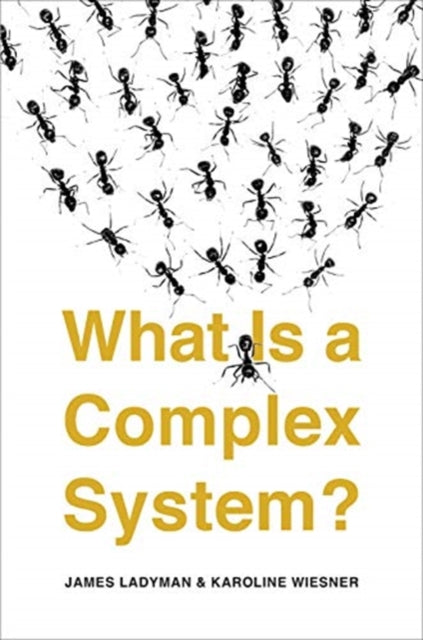 What Is A Complex System