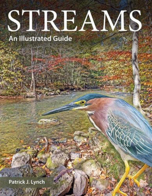 Streams An Illustrated Guide By Patrick J. Lynch