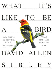 What Its Like To Be A Bird