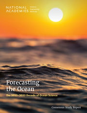 Forecasting The Ocean