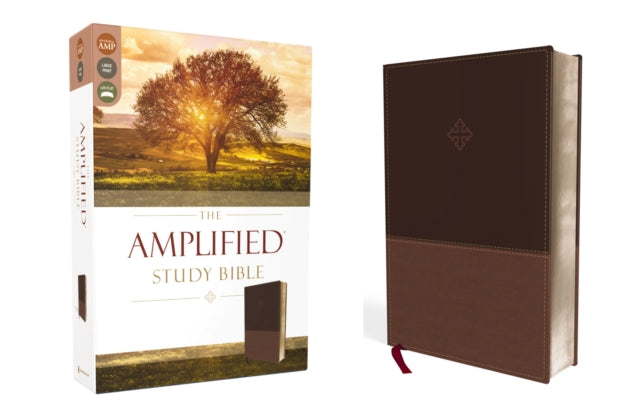 Amplified Study Bible  Brown