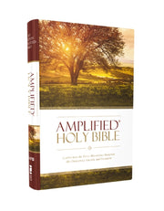 Amplified Thinline Bible Hc Hc