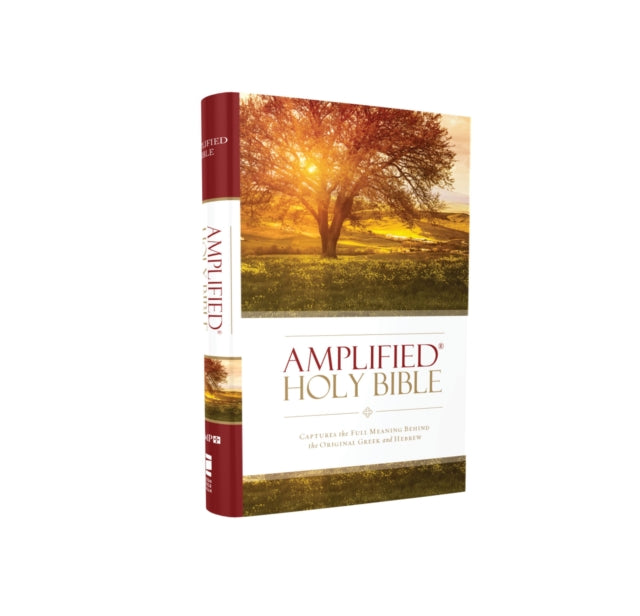 Amplified Thinline Bible Hc Hc