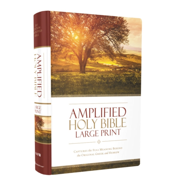 Amplified Thinline Bible Lp Hc Hc