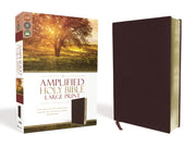 Amplified Thinline Bible Lp Bn Bnd Brg