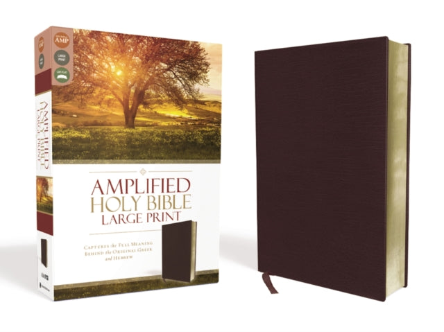 Amplified Thinline Bible Lp Bn Bnd Brg
