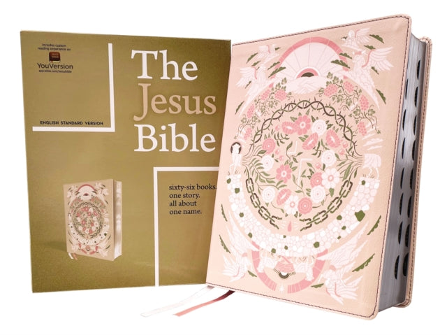 Jesus Bible Artist Edition Hb